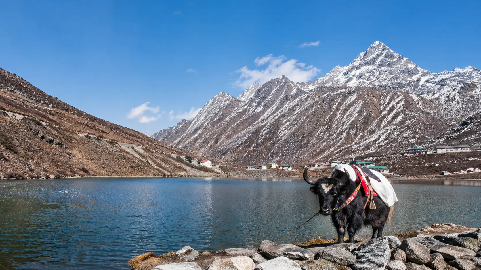 Eastern Himalaya Scenic Tour - India Photo 4