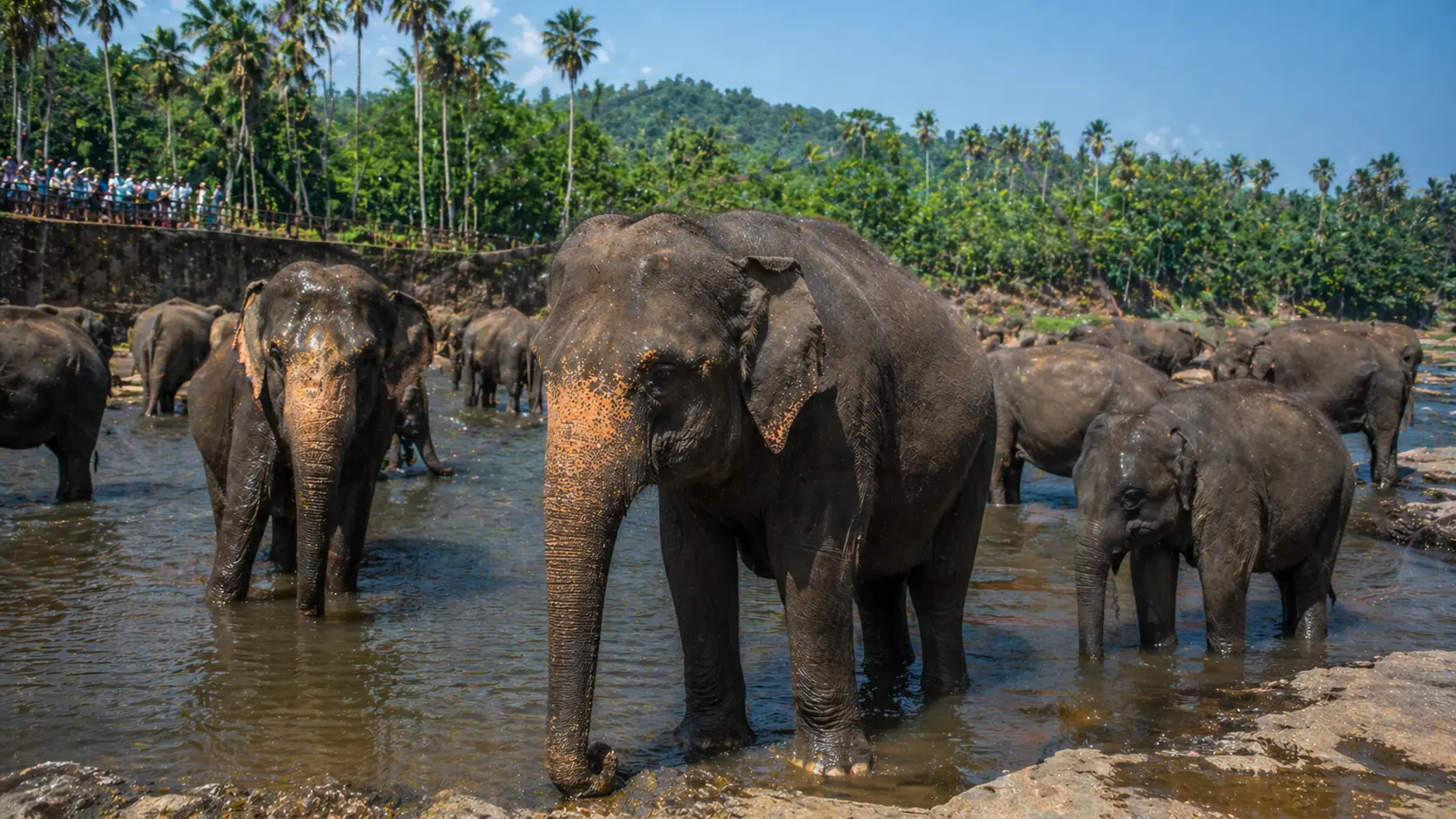 Sri Lanka Classic Tour - Srilanka Photo 3